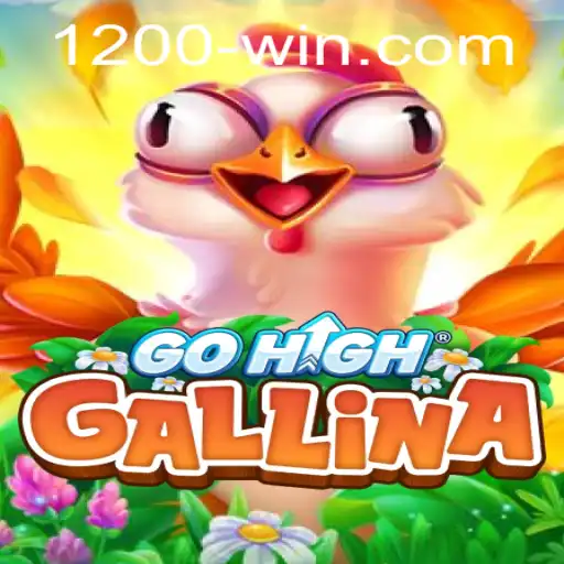 Exploring GoHighGallina and the Buzz Around 1200win